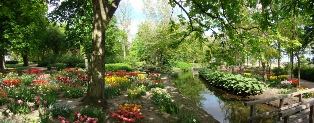Poldertuin,_anna_paulowna__panoramio Cafetaria De Ben